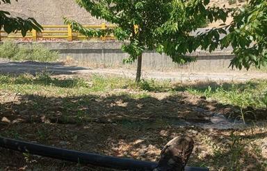 1000 متر زمین کشاورزی ورودی تونل روستای شیخ عطار
