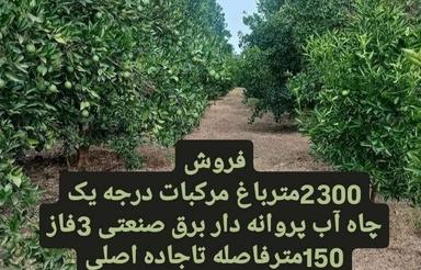 فروش زمین کشاورزی 2300 متر در جاده کیاکلا