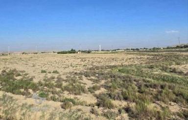 نیاز به شراکت در کشت 35 هکتار زمین آبی یا اجاره