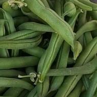 لوبیا سبز تر و تازه