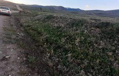 زمین باغی و کشاورزی