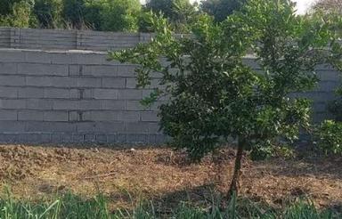 فروش باغ مناسب برای ساخت سورتینک و گلخانه