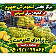 لیموترش جهرم ،شیراز ، تبریز ، برادران تندرست