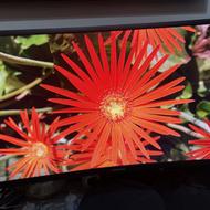 مانیتور گیمینگ سامسونگ C27FG70
