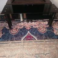زیر تلویزیونی