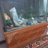 آکواریوم بزرگ همراه با چراغ حباب ساز اکسیژن و وسیله تزئین