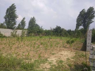 یک قطعه زمین 530 متری