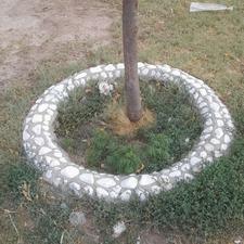 انواع سنگ ریزه