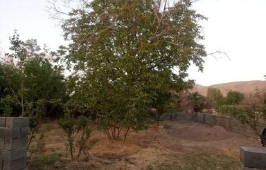 550 متر باغ روستای خوش آب و هوای طرز