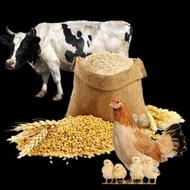 ویزیتور و کارشناس فروش