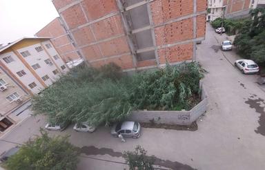 فروش زمین مسکونی 260 متر در حمزه کلا دانش