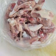 اسکلت مرغ گوشتی