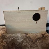 لانه پرنده چوبی