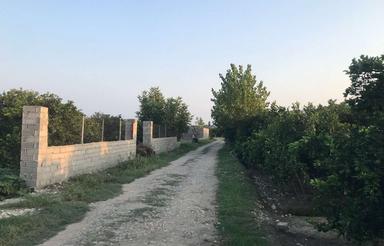 باغچه 600 متری مناسب سرمایه گذاری کیلومتر 5جاده دریا