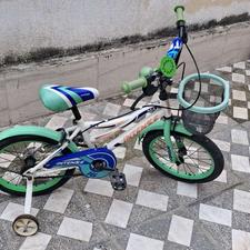دوچرخه اینتنس