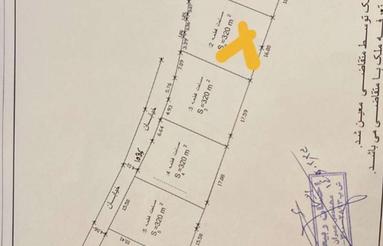 زمین و باغ کشاورزی 320 متری جاده بابل به کیاکلا مری