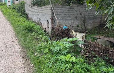 زمین ویلایی جنگلی 250متر دهکده سانخیل