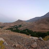 کارگر لوبیا چیدن