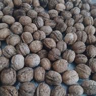 گردوتازه کلات