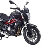 بنلی 300 دوسیلندر1405