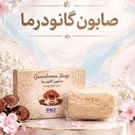 صابون اصل گانودرما از بین برنده انواع جوش
