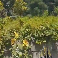 865 متر مناسب مسکونی و تجاری