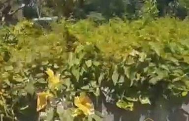 865 متر مناسب مسکونی و تجاری