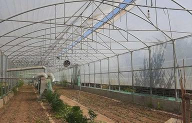 فروش گلخانه صنعتی 1000 متر در کمربندی غربی