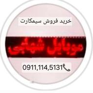 09113155328