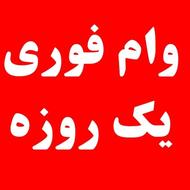 وام چکی فوری(بدون پیش پرداخت)