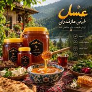 عسل طبیعی مازندران98754333