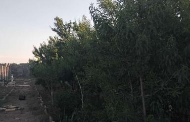باغچه رباط کریم علی اباد وهن اباد