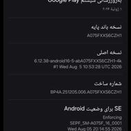 سامسونگAo7رام6