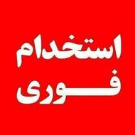 استخدام سالندار