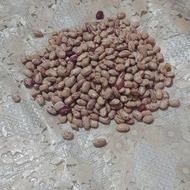 لوبیا چیتی خوش پخت
