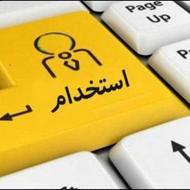 استخدام دستیار