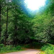 درخواست شراکت برای باز کردن مغازه