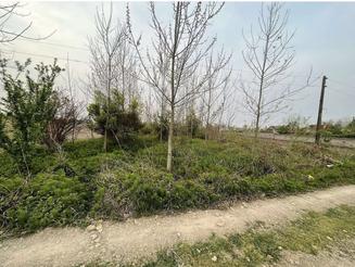 314 متر مسکونی باغی نزدیک اسفالت
