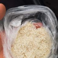 طارم هاشمی درجه یک