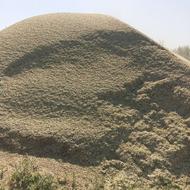بلیم یونجه خرد شده با خرمن کوب