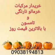 خریدار نارنگی خرمالو و هر گونه مرکبات با بالاترین نرخ روز