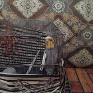 عروس هلندی رام شده