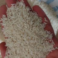 برنج طارم هاشمی خالص درجه یک
