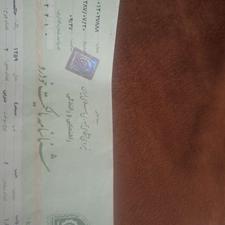 جیپ وانت سیمرغ مدل 59(مدارک کامل)