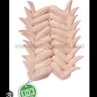 غذای سگ نوک بال