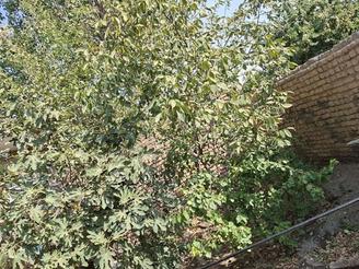 خانه ویلایی