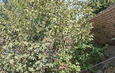 خانه ویلایی