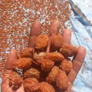 آلو خریدارم