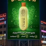 شامپو مورینگا ترند سال ضد ریزش مو
