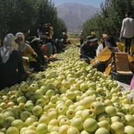 کارگربرای کارسیب